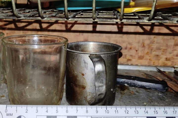 Удар в спину: жительница Новосибирской области пойдет под суд за убийство мужа Удар в спину: жительница Новосибирской области пойдет под суд за убийство мужа