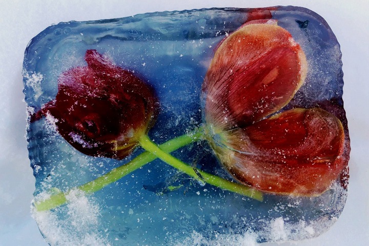 На Богучанской ГЭС подведены итоги конкурса «Живая вода-2022» На Богучанской ГЭС подведены итоги конкурса «Живая вода-2022»