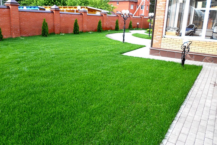 Рулонный газон - лучшее решение для вашего участка