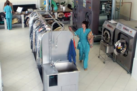 Мэрия Новосибирска хочет выручить 85 млн рублей за акции химчисток Мэрия Новосибирска хочет выручить 85 млн рублей за акции химчисток