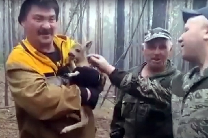 Лесник спас олененка от пожара в Бурятии Лесник спас олененка от пожара в Бурятии