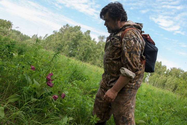 Соседство «любки» и «башмачка»: зачем охранять дикие орхидеи в Сибири Соседство «любки» и «башмачка»: зачем охранять дикие орхидеи в Сибири