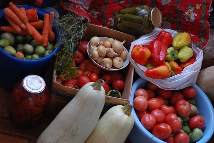 Дополнительные социальные ярмарки откроют в Новосибирской области