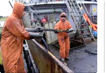 Путь из варяг к нефти | Фото: GAMMA/EAST NEWS