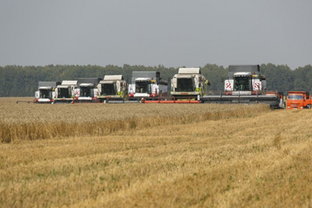 Минсельхоз Новосибирской области потребовал ускорить темпы уборочной кампании Минсельхоз Новосибирской области потребовал ускорить темпы уборочной кампании