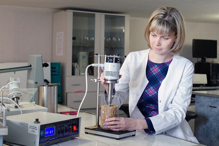 Обработка пшеницы ультразвуком повысит ее урожайность Обработка пшеницы ультразвуком повысит ее урожайность