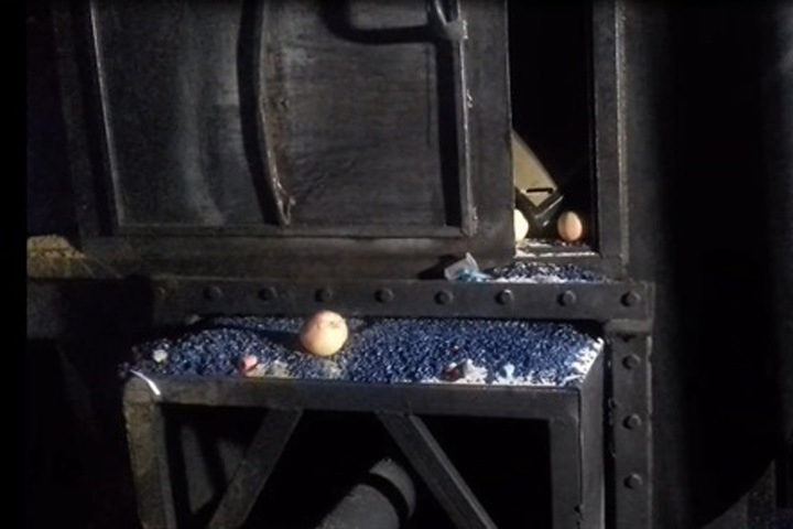 Тонну санкционных яблок сожгли в Красноярске