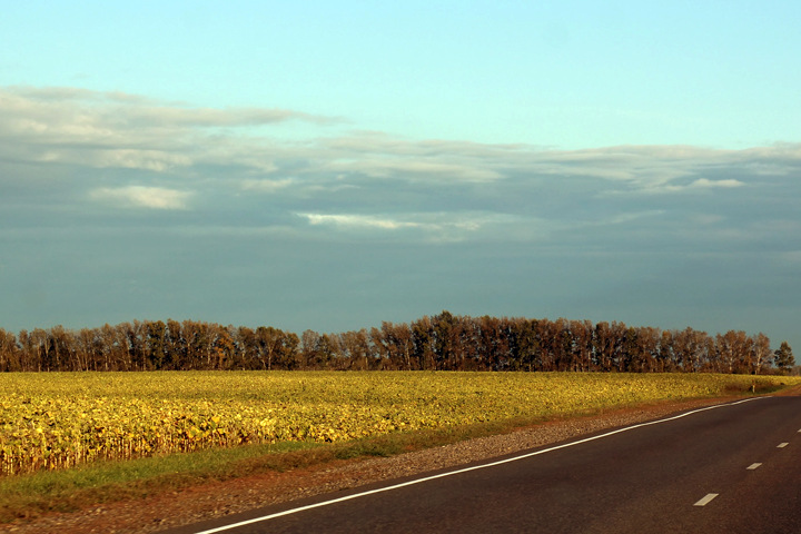 Новосибирское правительство объяснило, зачем ему «Геофонд» Новосибирское правительство объяснило, зачем ему «Геофонд»