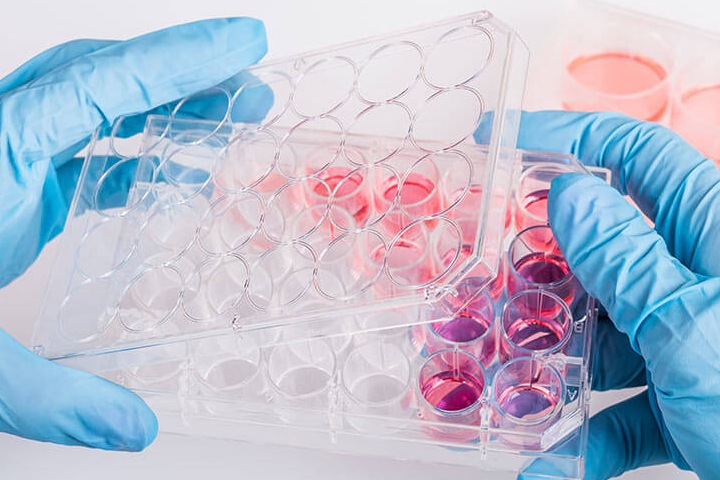 Лечение при помощи стволовых клеток