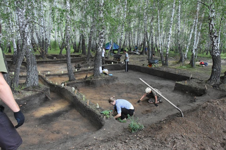 Новосибирские археологи обнаружили новую неолитическую культуру Новосибирские археологи обнаружили новую неолитическую культуру