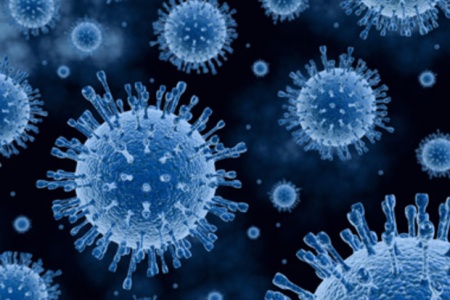  Сибирские ученые придумали метод быстрого определения гепатита