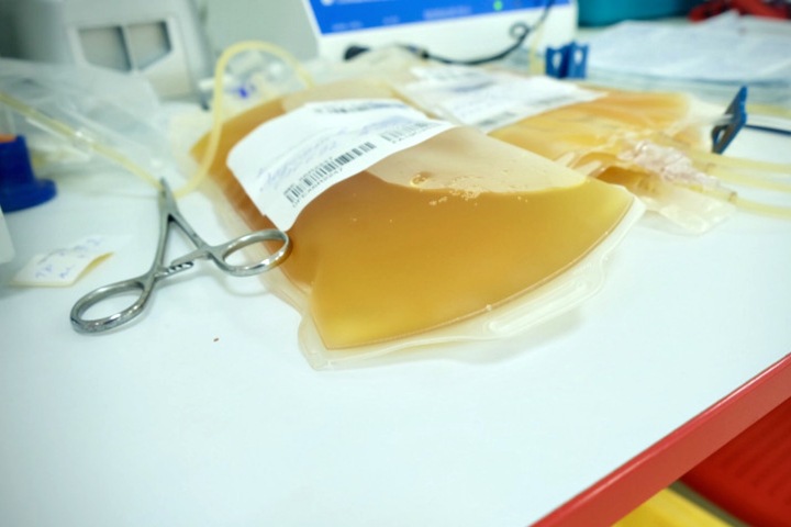 137 новосибирцев умерли от коронавируса