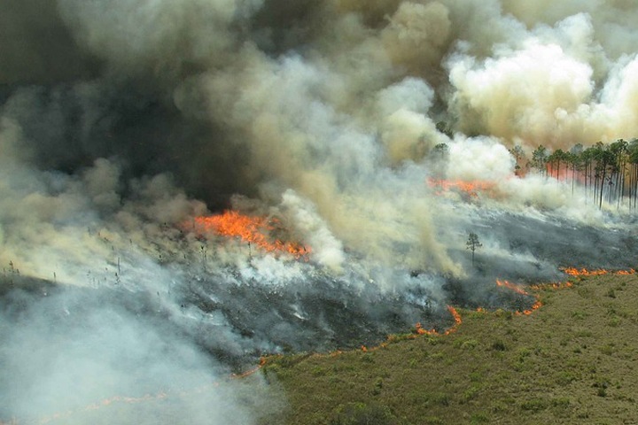 Тепловые аномалии выявили в почве на севере Сибири после природных пожаров