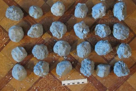 Новосибирский физрук лепил гипсовые яйца с наркотиками 