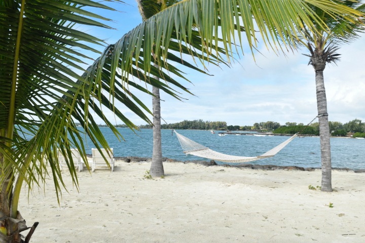 Российские ученые предложили использовать тропические растения для борьбы с раком Российские ученые предложили использовать тропические растения для борьбы с раком