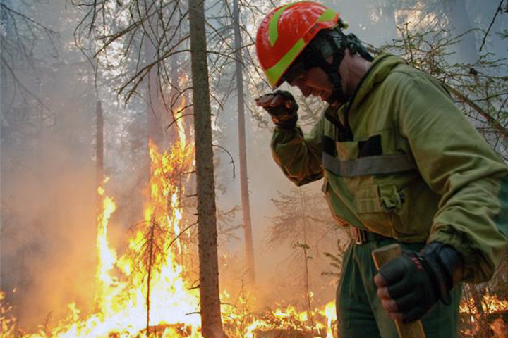Режим ЧС введен в Забайкалье из-за пожаров Режим ЧС введен в Забайкалье из-за пожаров