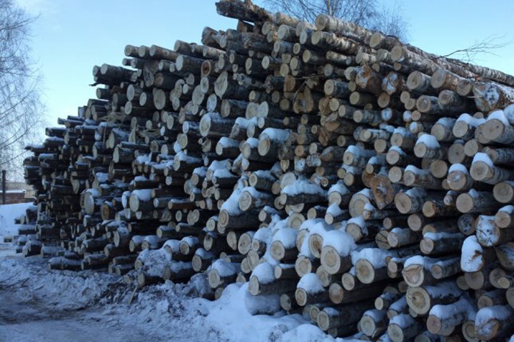 Дрова подорожали вдвое в Алтайском крае Дрова подорожали вдвое в Алтайском крае