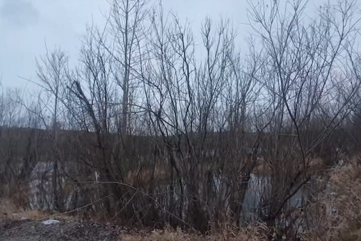 «Сбросили тело в заводь»: четверо красноярцев получили тюремные сроки за изнасилование школьницы молотком и убийство