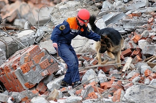Здание заброшенного завода обрушилось в Омске на человека Здание заброшенного завода обрушилось в Омске на человека