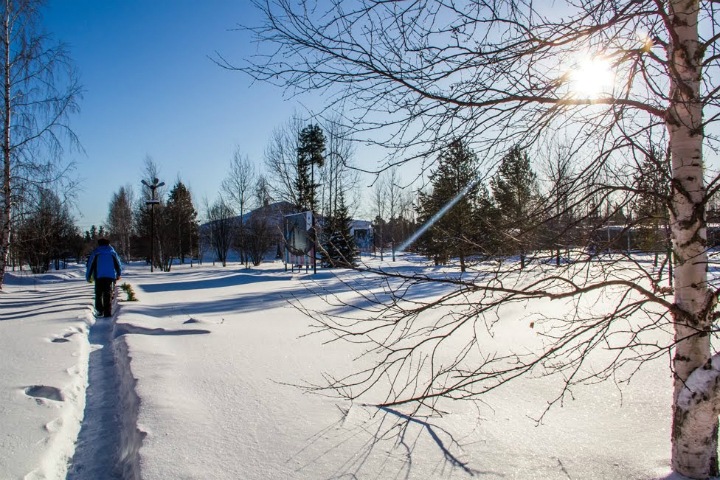 Новосибирцам пообещали резкое потепление на выходных Новосибирцам пообещали резкое потепление на выходных
