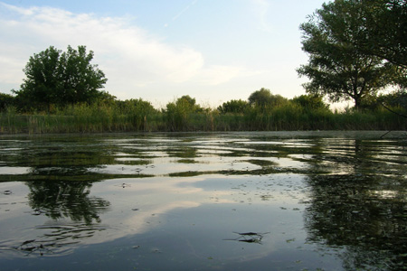 Районные власти сдали в аренду бизнесменам реку на Алтае