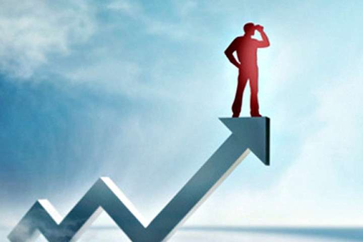 Второй комитет новосибирского заксобрания не принял стратегию экономического развития региона