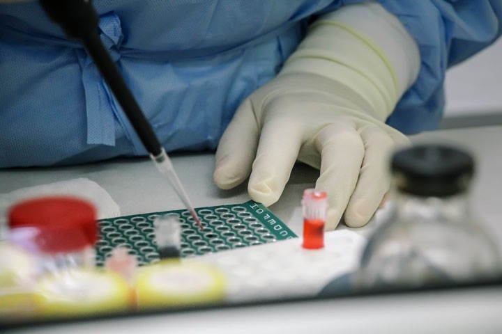 Красноярцев приглашают стать донорами костного мозга для больных лейкозом россиян