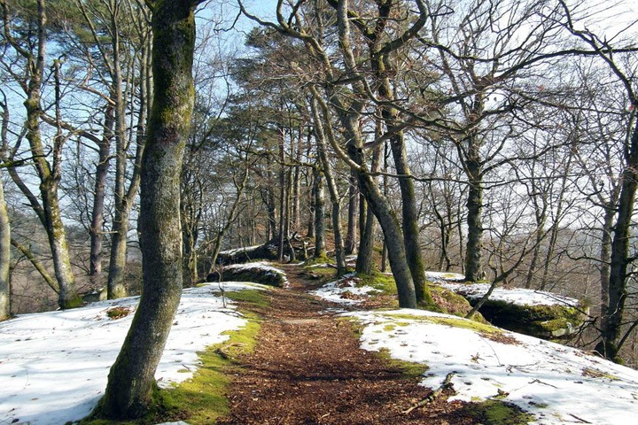 Потепление до +15 идет в Новосибирскую область