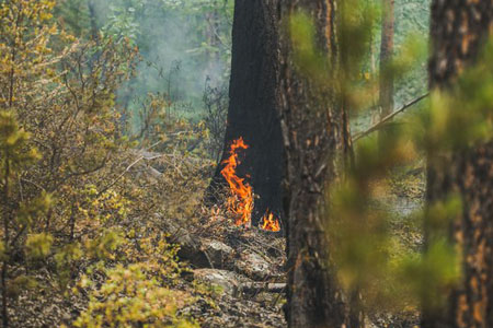 Добровольцы о борьбе с огнем на Байкале: «Чтобы всё потушить, надо 15 тысяч человек»