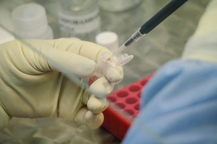 Новосибирск стал ближе к пересадке костного мозга онкобольным Новосибирск стал ближе к пересадке костного мозга онкобольным