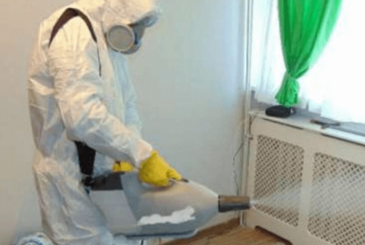 Профессиональное уничтожение клопов и другие услуги ЭкоДез в Новосибирске Профессиональное уничтожение клопов и другие услуги ЭкоДез в Новосибирске