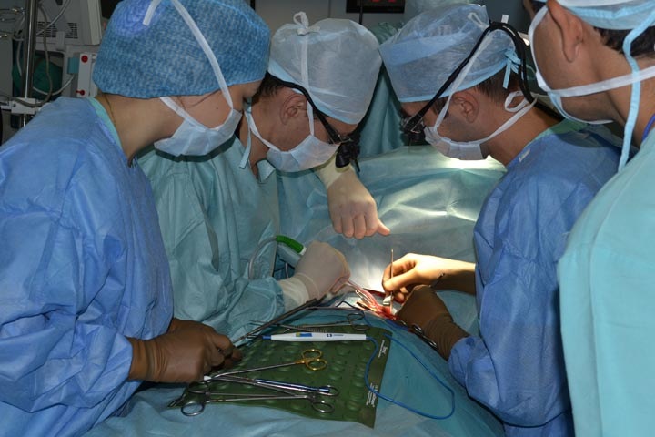 Новосибирские ученые узнали, что эритроциты участвуют в формировании атеросклероза