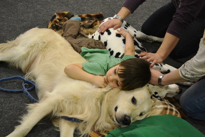 Сибирские ученые связали аутизм с агрессией в обществе Сибирские ученые связали аутизм с агрессией в обществе