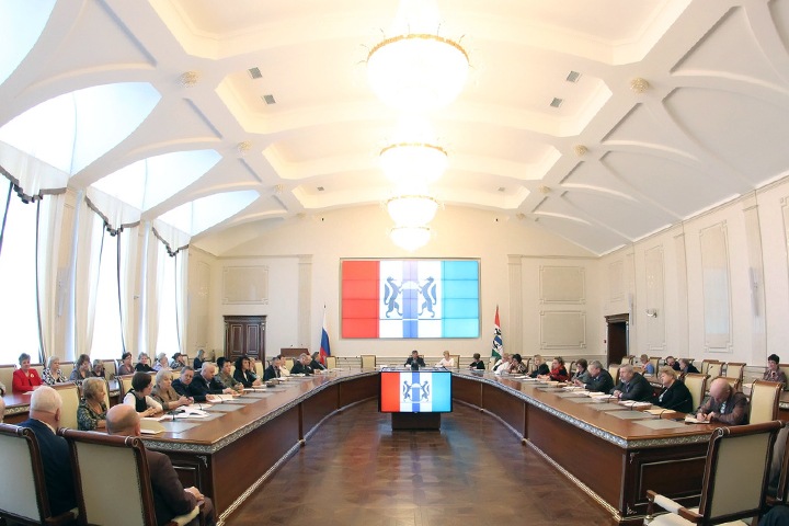 Новосибирской общественной палате оплатят перелеты и плавание
