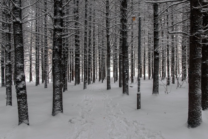 Как областная власть сможет контролировать застройку части Новосибирска. Обзор Как областная власть сможет контролировать застройку части Новосибирска. Обзор