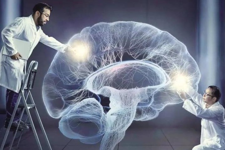 Взаимосвязь сна и памяти