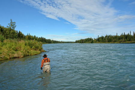Свободные промысловые участки введут в рыбохозяйственный оборот в Новосибирской области