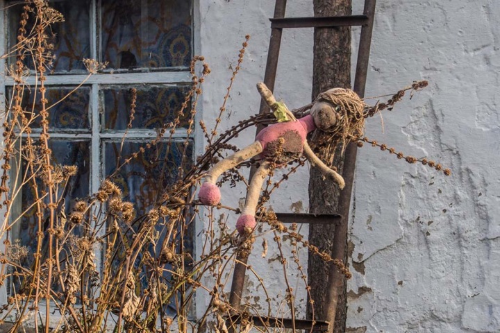 Умирающие села Сибири: «Мы подохнем, и больше никого не будет» Умирающие села Сибири: «Мы подохнем, и больше никого не будет»