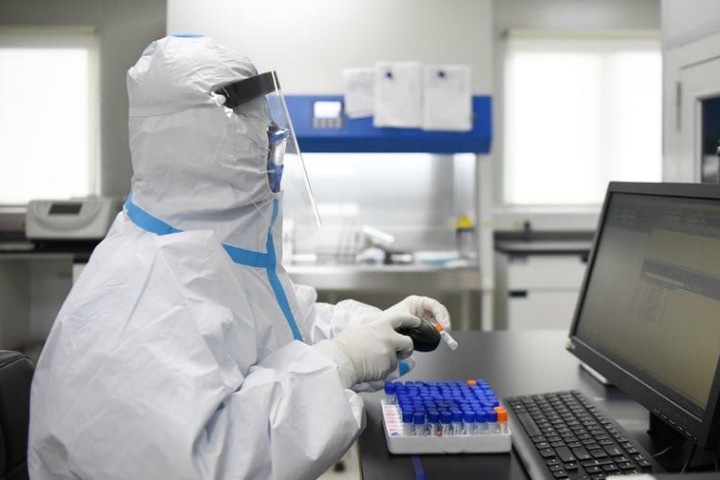 Подросток съел сурка и скончался от чумы в монгольском Алтае