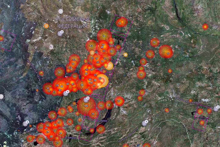 Площадь пожаров в Прингарье выросла в 10 раз