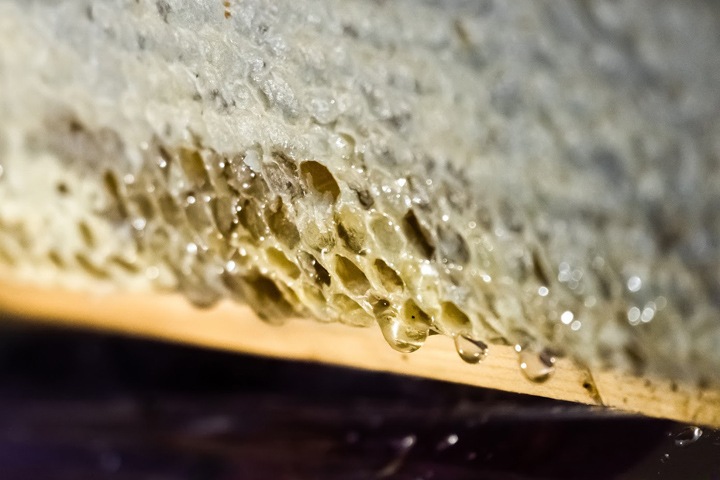 Красноярский агрохолдинг оплатил пасечнику покупку новых пчел после их возможной гибели из-за химикатов Красноярский агрохолдинг оплатил пасечнику покупку новых пчел после их возможной гибели из-за химикатов