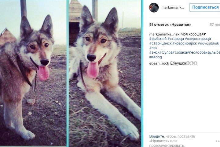 «Я превращу твою жизнь в ад» «Я превращу твою жизнь в ад»