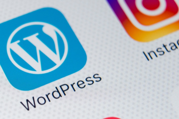 Почему платформа WordPress набирает популярность Почему платформа WordPress набирает популярность