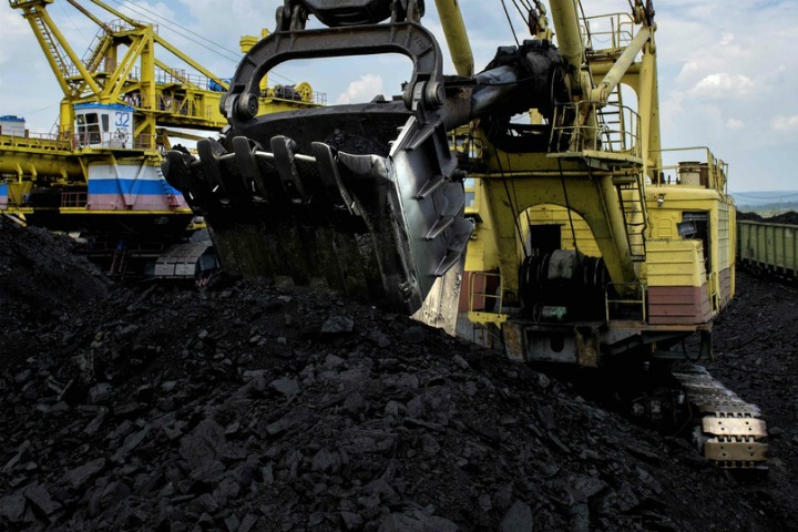 Бывшая компания сына экс-губернатора Юрченко подала на банкротство