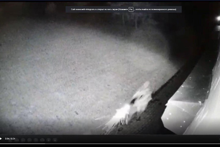 Опубликовано видео убийства экс-мэра Киселёвска