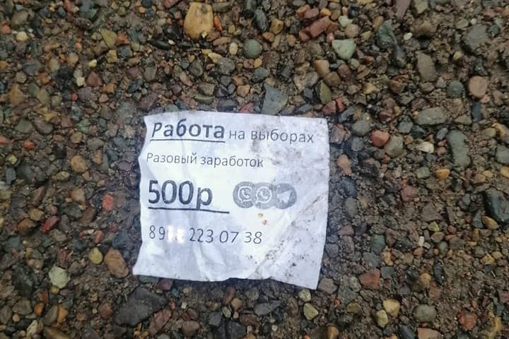 Красноярский депутат рассказала о скупке голосов в пользу ЛДПР