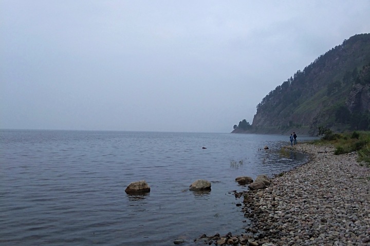 КБЖД закрыли для туристов из-за опасного медведя