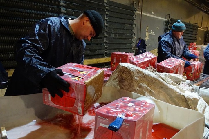 Около 500 тонн спиртного выльют в канализацию Бердска