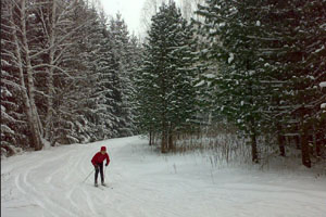 Новосибирский губернатор о строительстве в Каинской заимке: Лыжню нужно сохранить Новосибирский губернатор о строительстве в Каинской заимке: Лыжню нужно сохранить