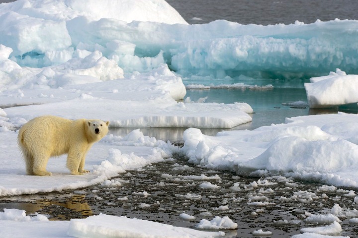 Миллион рублей за загрязнение Арктики и рекордные пробки в Новосибирске. Числа недели Миллион рублей за загрязнение Арктики и рекордные пробки в Новосибирске. Числа недели